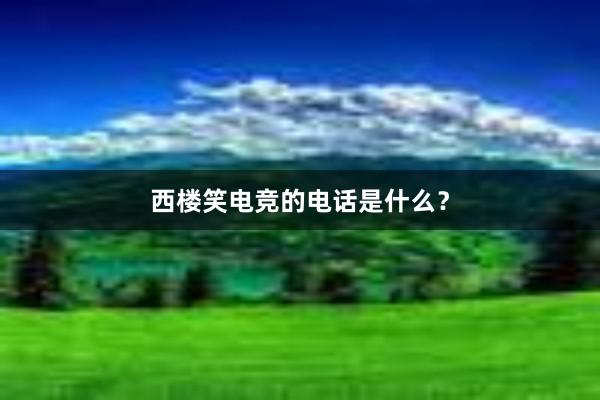 西楼笑电竞的电话是什么？